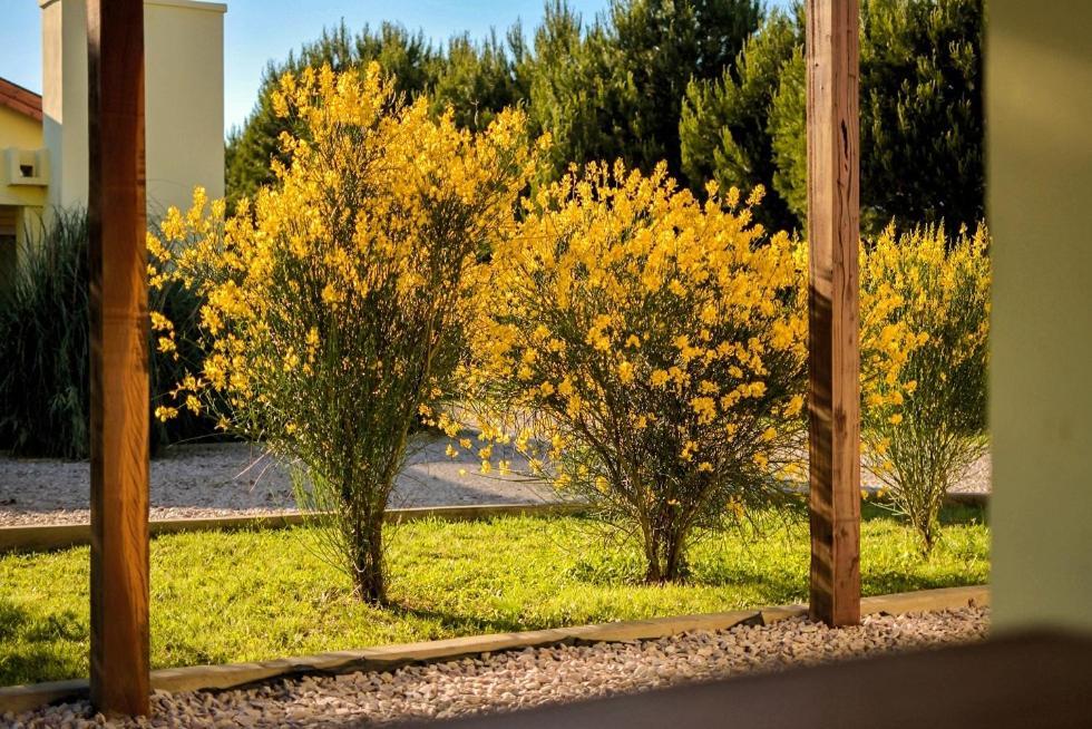 Cabanas De Las Pinturas Vila Sierra de la Ventana Exterior foto